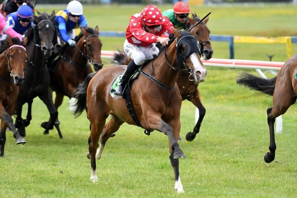 Caribbean Rose winning at Rotorua