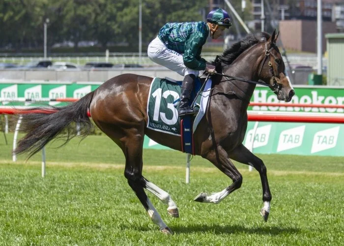 Satin Socks bolts in at Canterbury