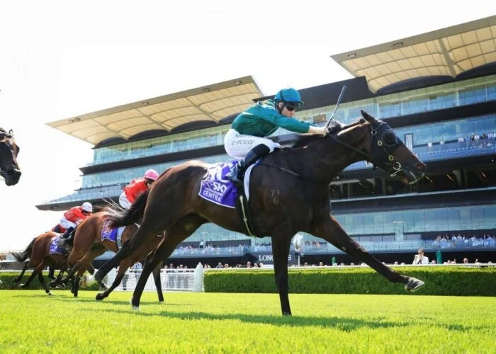 Leviathan bounds away at Randwick