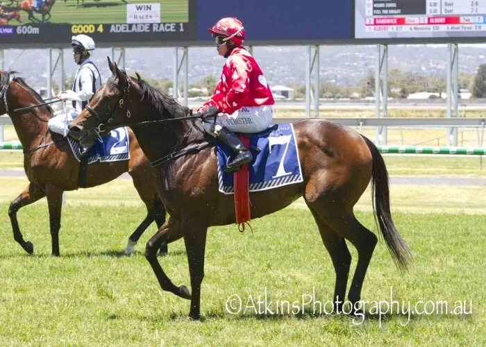 Bribery too speedy on debut