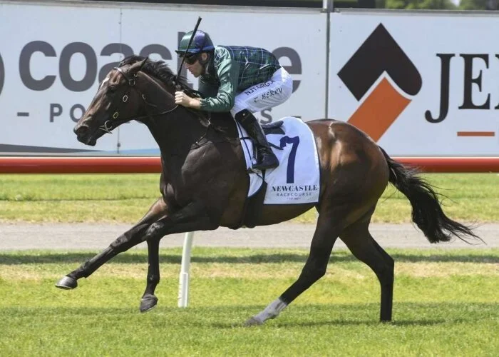 Tilia Rose powerful in Max Lees Classic on debut