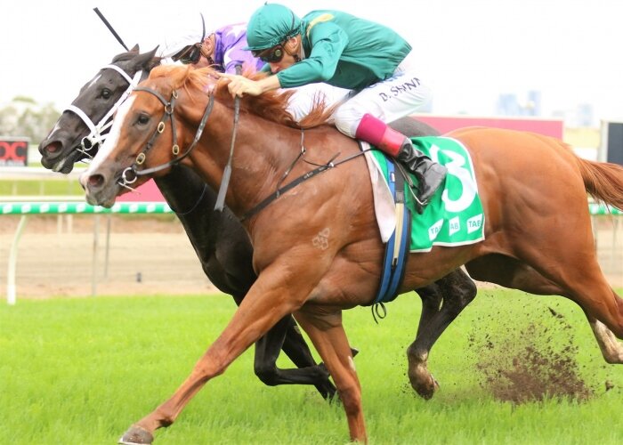 Stronger too good in Group 3 Ken Russell Memorial