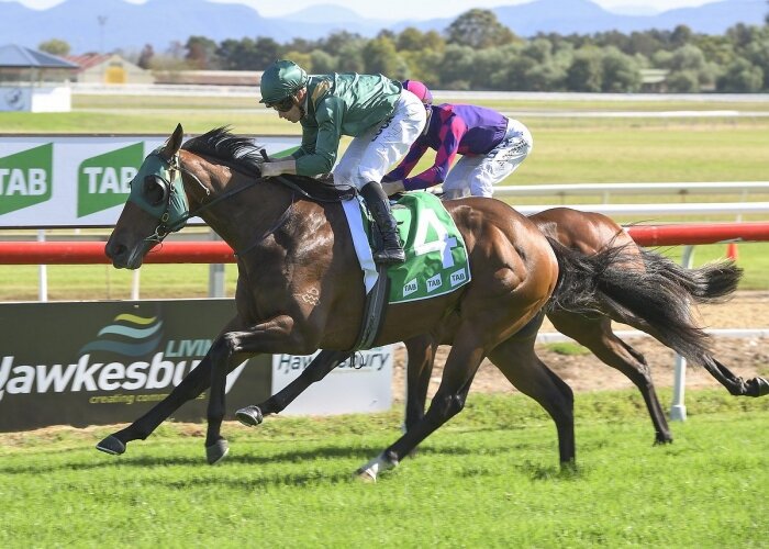 Creator makes his mark in Clarendon Stakes