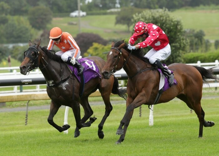 Espresso Martini breaks through at stakes level
