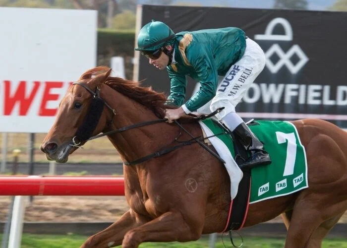 Helaku dominant against older horses