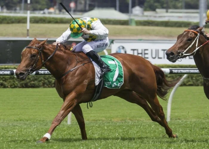 Warranty too good at Kensington