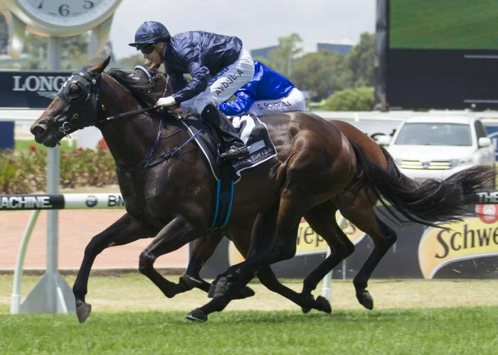 James Harron Bloodstock Announces Quality Inglis Chairman's Sale (Racing Prospects) Draft