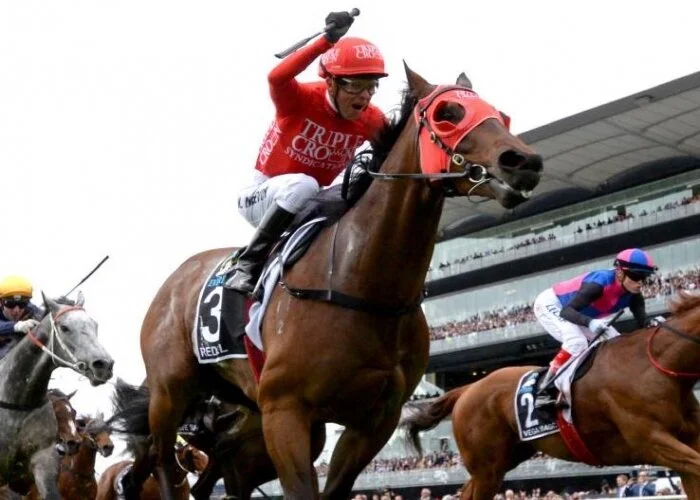 Redzel Wins the Everest