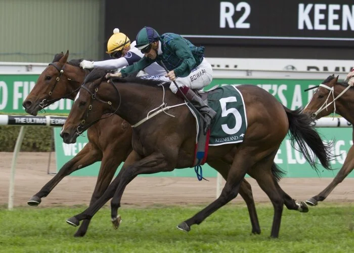 2YO Stakes Races - Breeding Success for JHB Clients