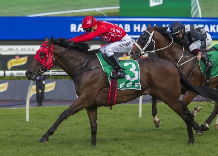 Redzel to climb Everest