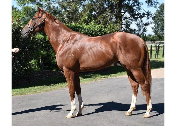 Faeger gets his city win at Canterbury