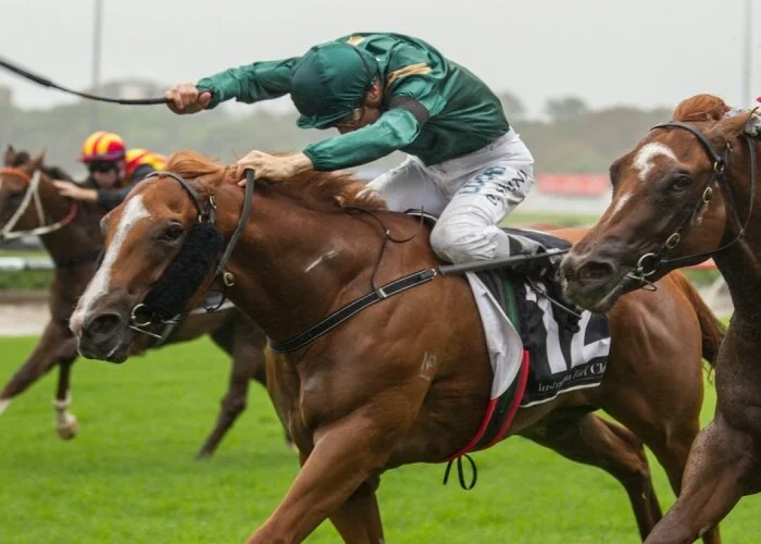 Gunnison remains unbeaten in the Group 2 Todman Stakes