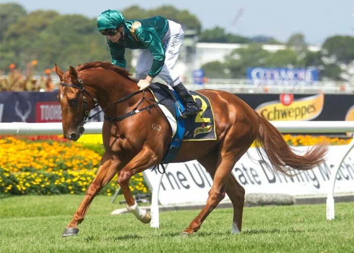 Brett Prebble to ride Attention in Group 1 Australian Guineas