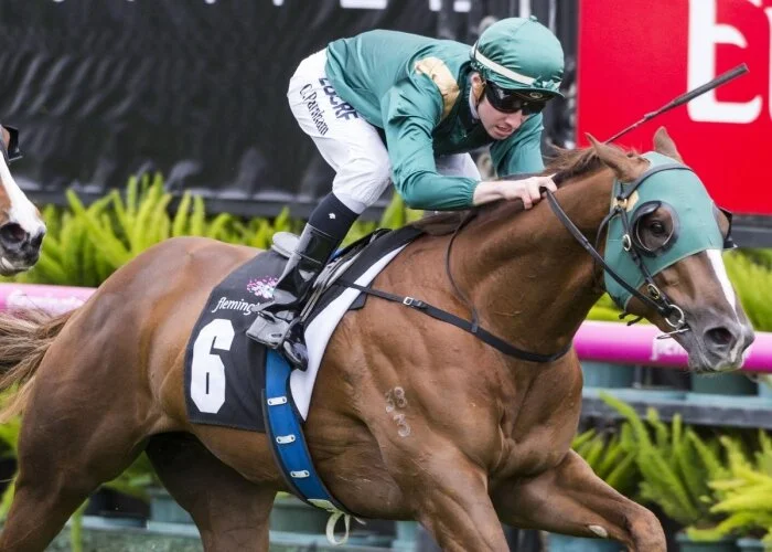 Detective becomes stakes winner at Flemington