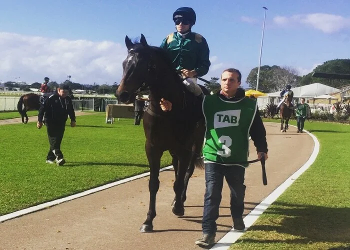 Snitzel colt Decorated Soldier wins at Newcastle on debut