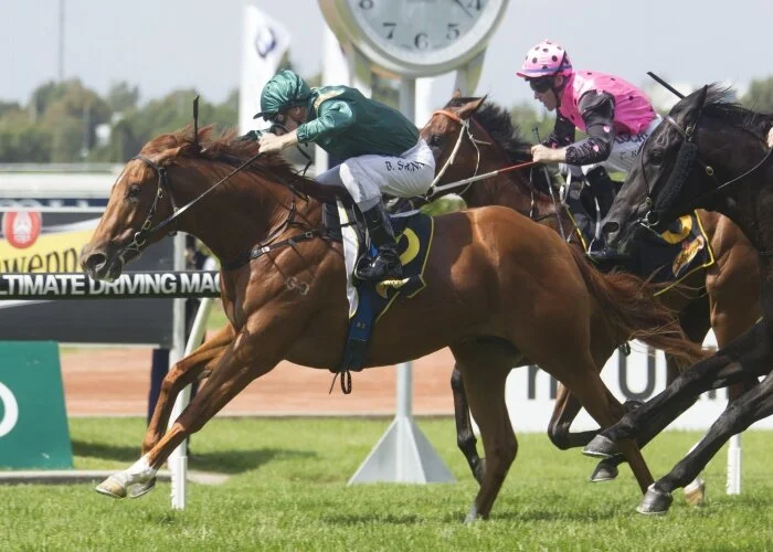 Attention takes the Group 3 T L Baillieu Handicap