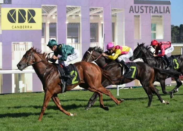 Defcon Brilliant in the Black Opal