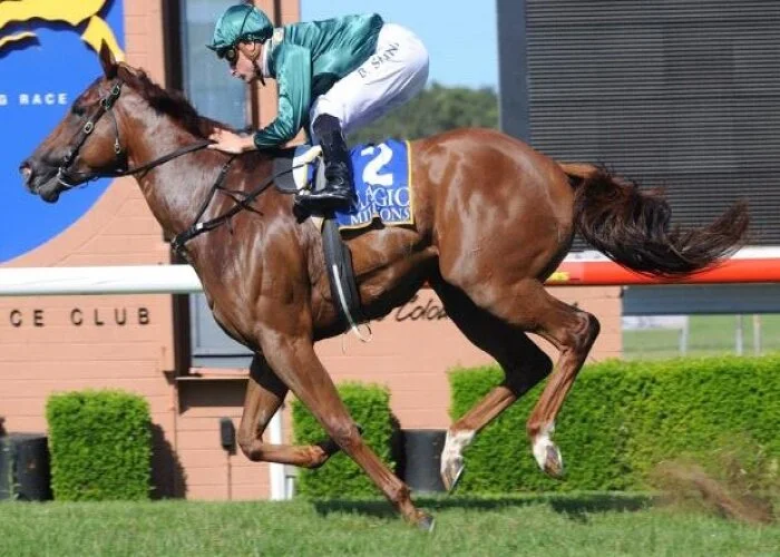 Capitalist Dominates at Wyong