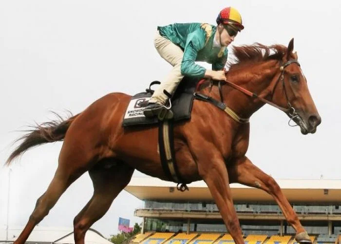 Capitalist back with a bang