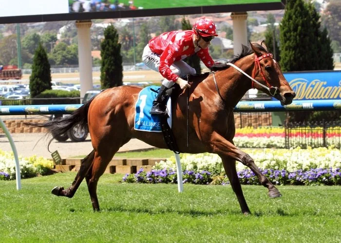 My Poppette dominates in the Gr.2 Fillies’ Classic