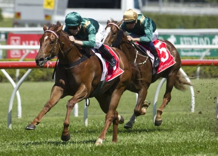 JHB Colts Quinella the Breeders' Plate