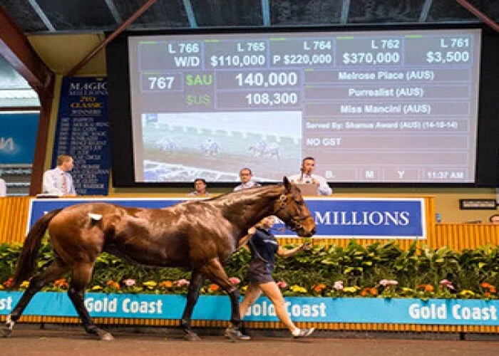 Magic Millions Gold Coast National Weanling and Broodmare Sale 2015