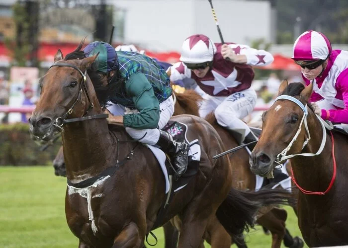 Two JHB runners at Royal Ascot
