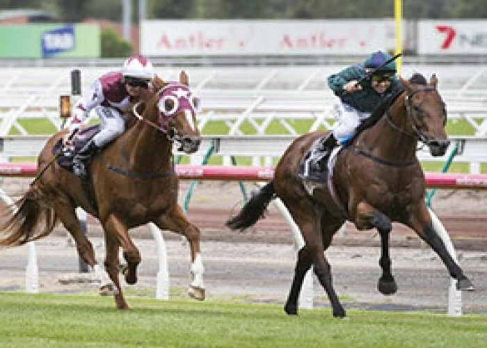 Wandjina Comes of Age