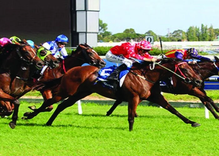 Shamal Wind does the job