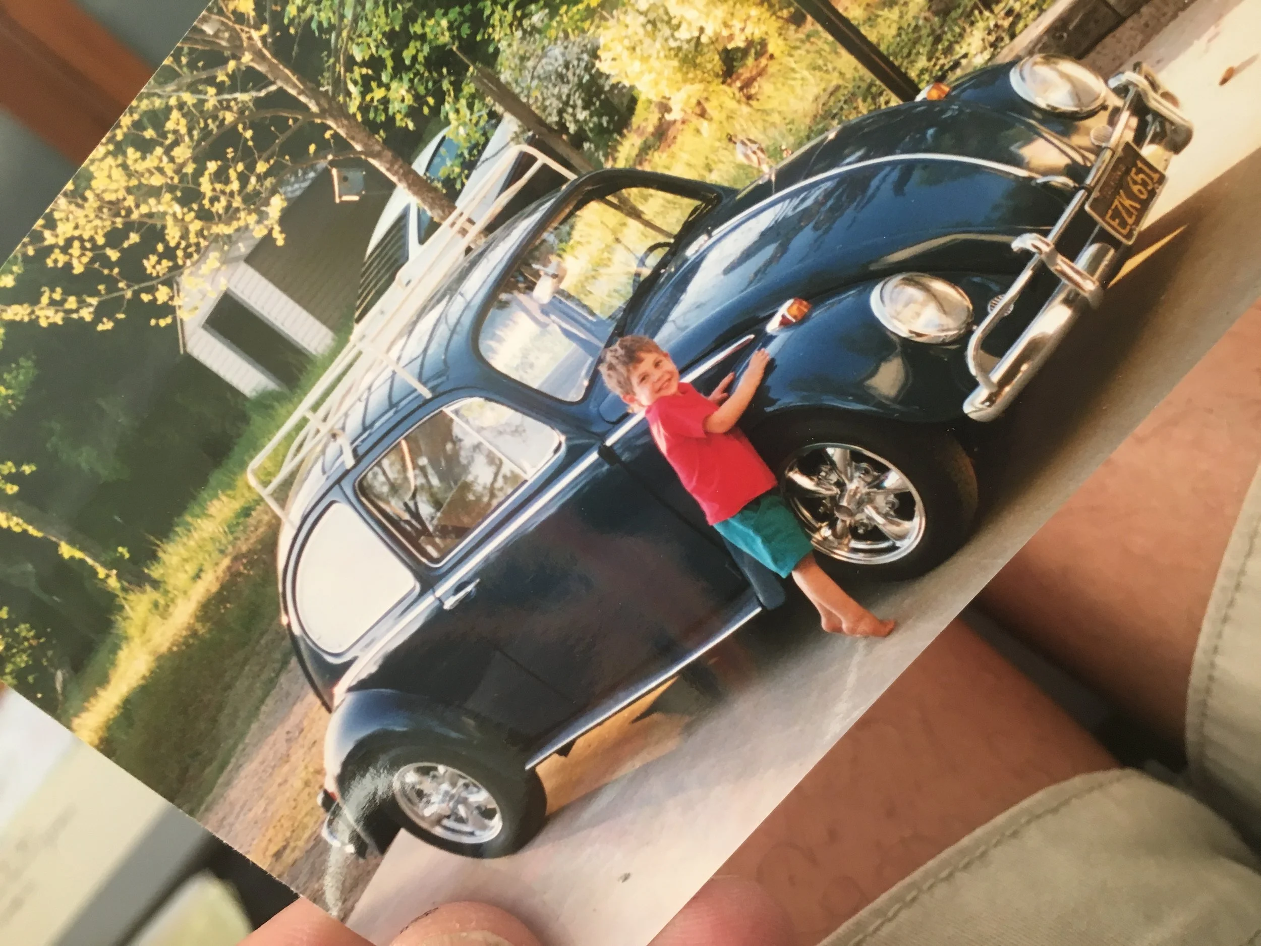 1966 bug