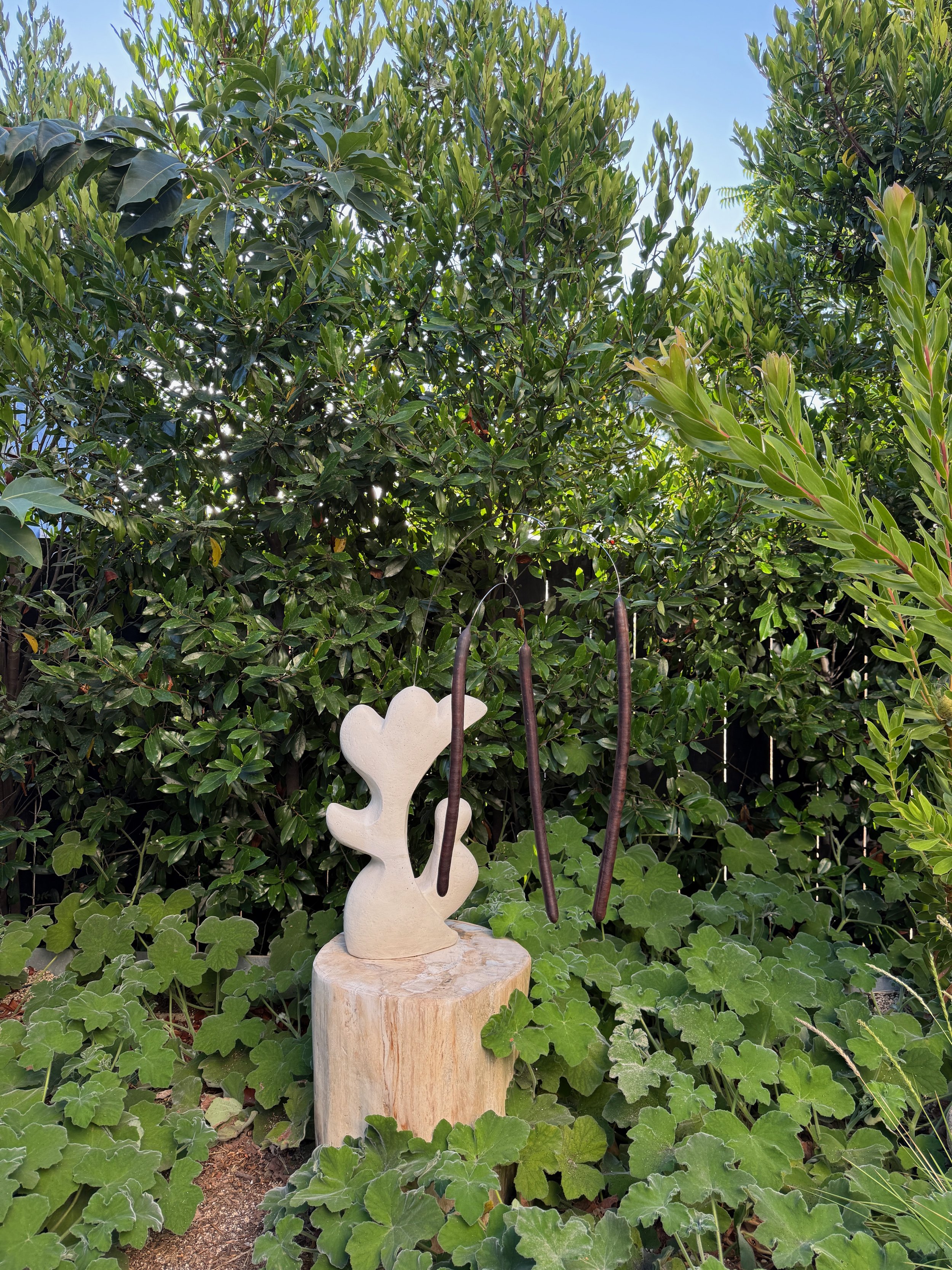 Mutable Garden
