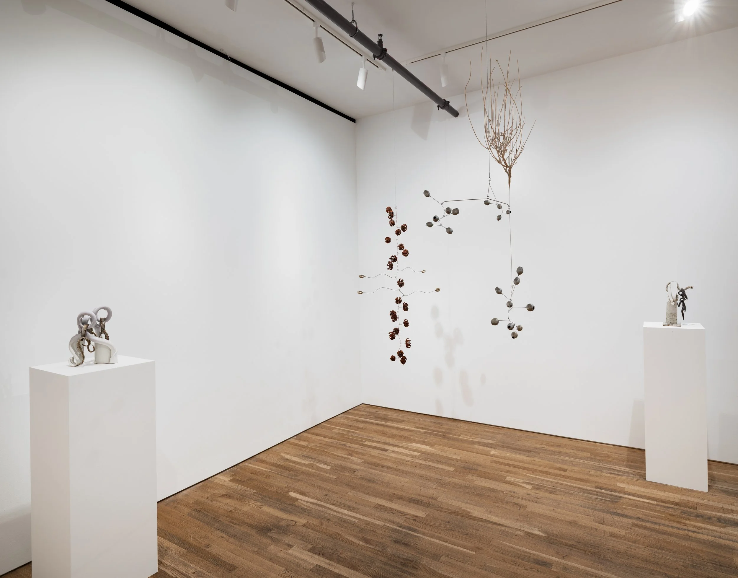 Install - Tending the Wild_6.jpg