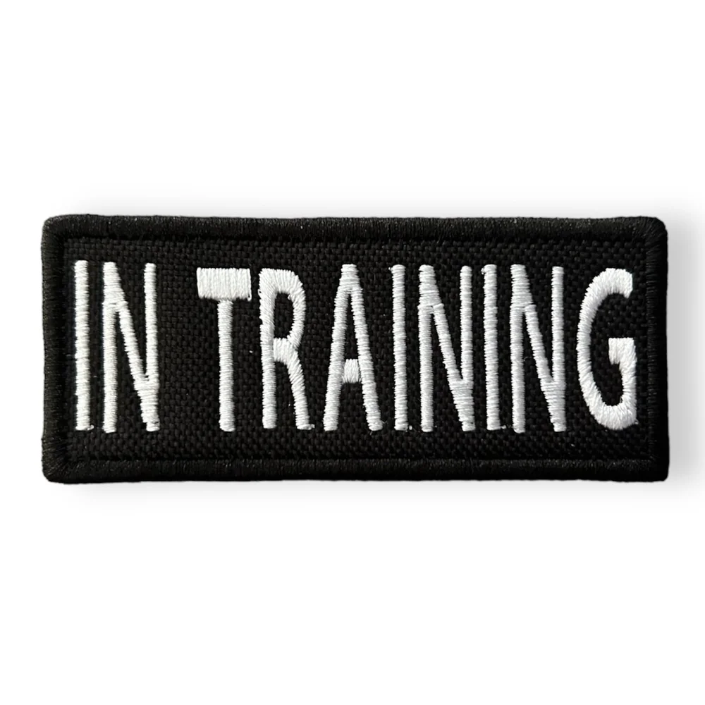 PTSD Does Not Mean Pet The Service Dog Patch - Funny Sarcastic Iron-On Embroidered Applique