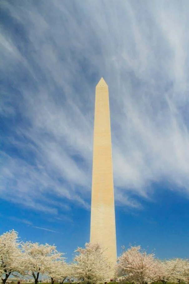 11107181_10153227794435775_901840692820237868_n.jpg