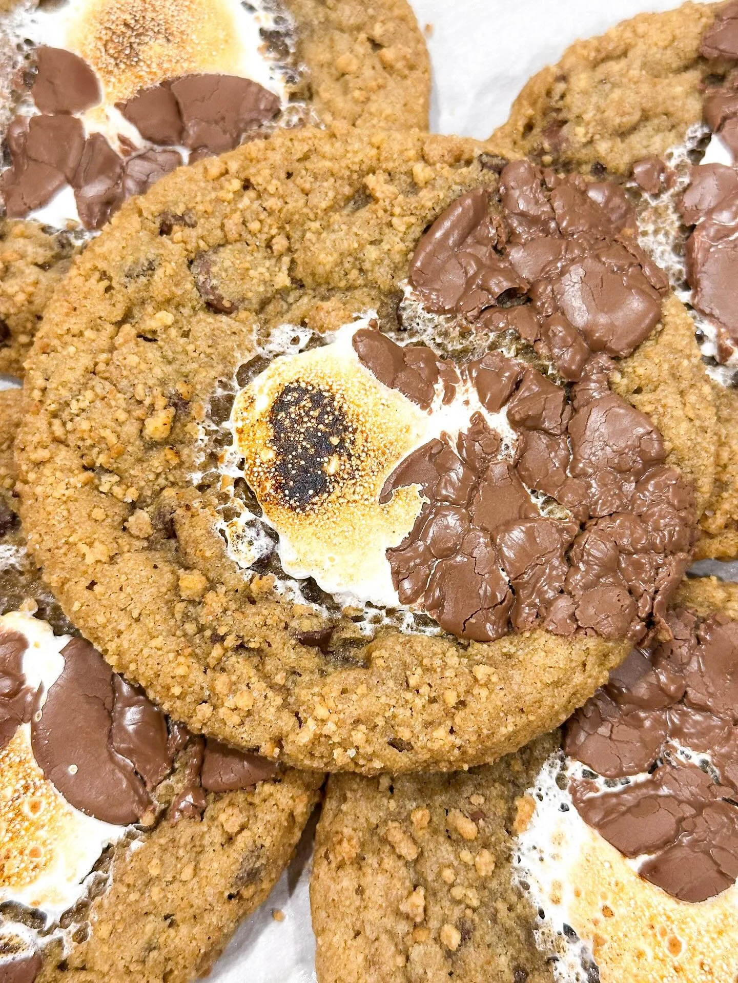 &bull; c a m p f i r e &bull;

A brand new cookie has arrived!

The Campfire Cookie, available now, only at @capsize.coffee inside @cedarcanoebooks Bracebridge

This gorgeous cookie features a brown butter base, loaded with chocolate chips, rolled in