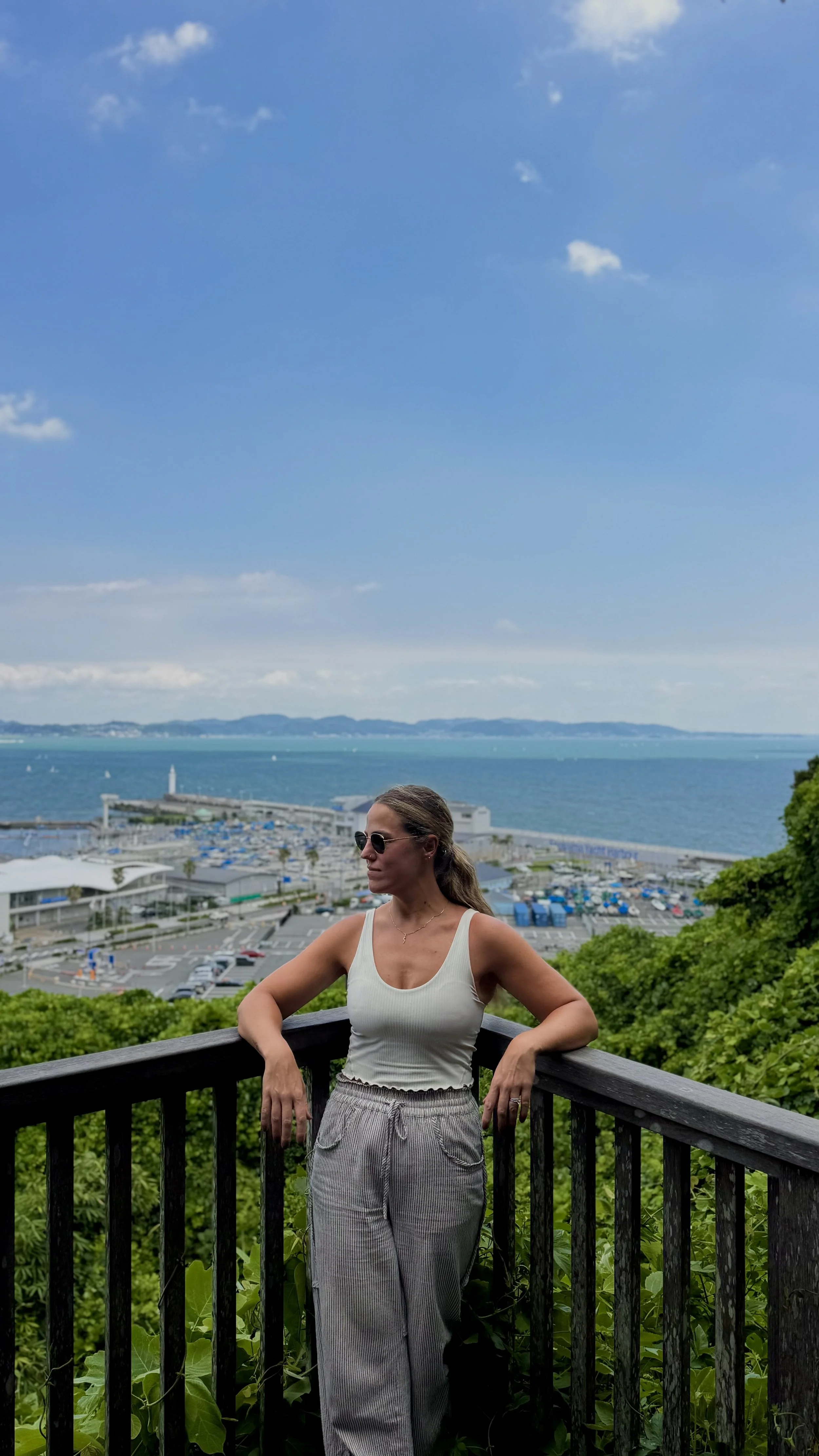 We Moved to Japan