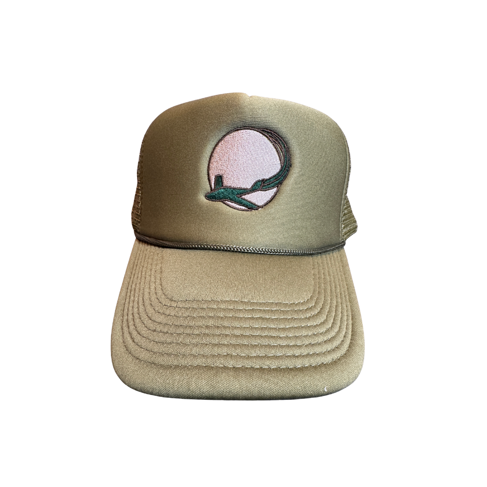 olive hat tan globe green plane.png