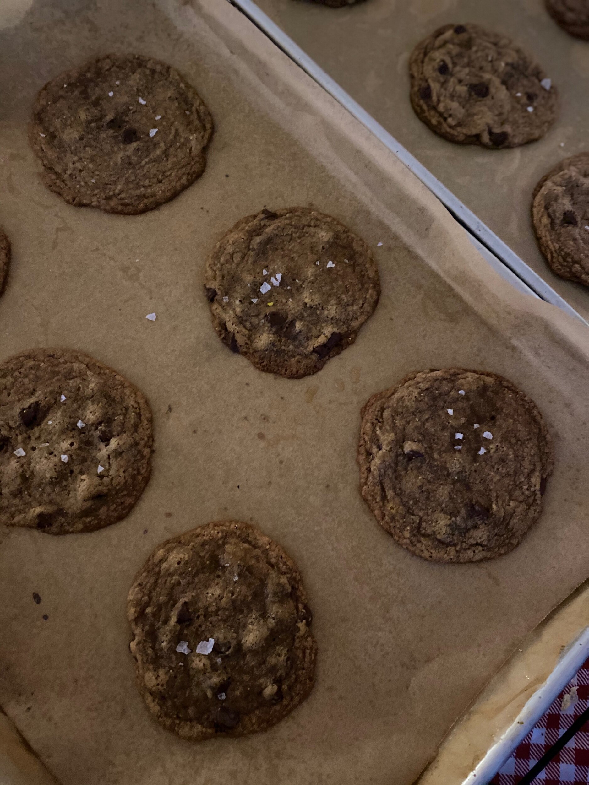 30F0F30E-7B12-4225-BA96-1B96822A59EB