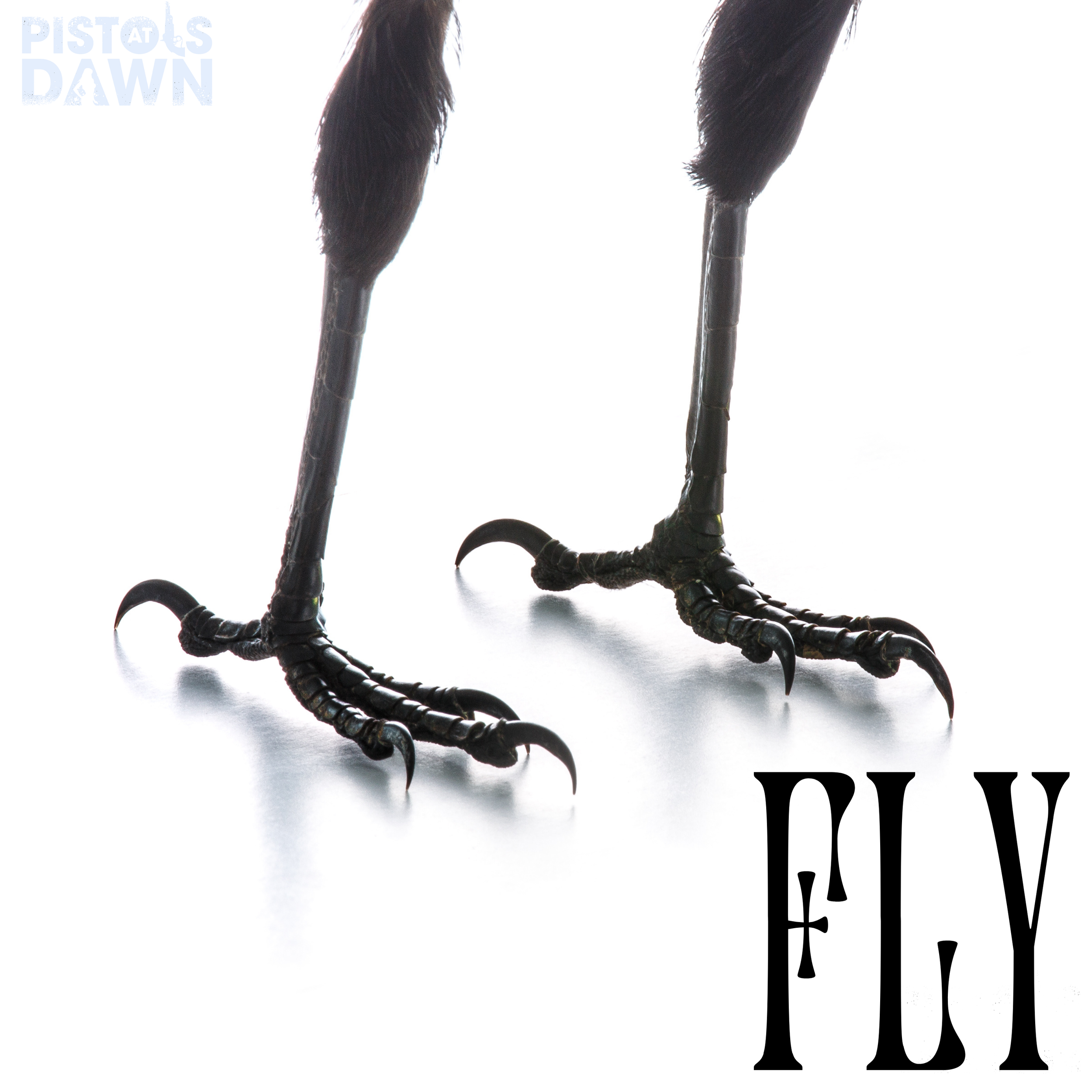 "Fly" - Single