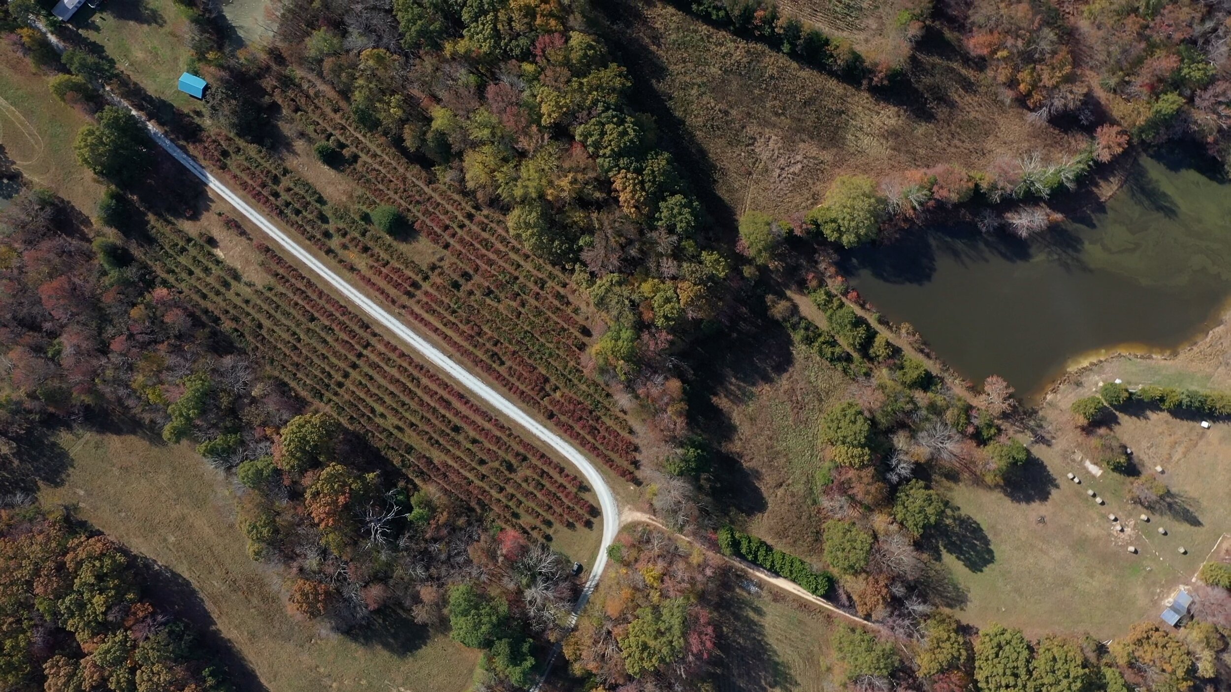 Aerial View of Farm Credit: Brooks Bennett