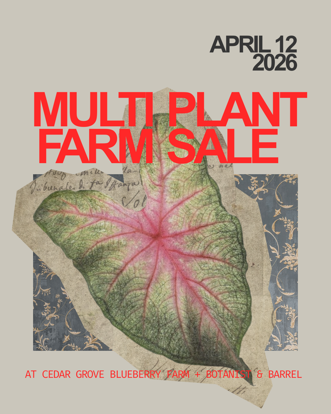 Annual Multi-Farm Spring Plant Sale (in Cedar Grove)