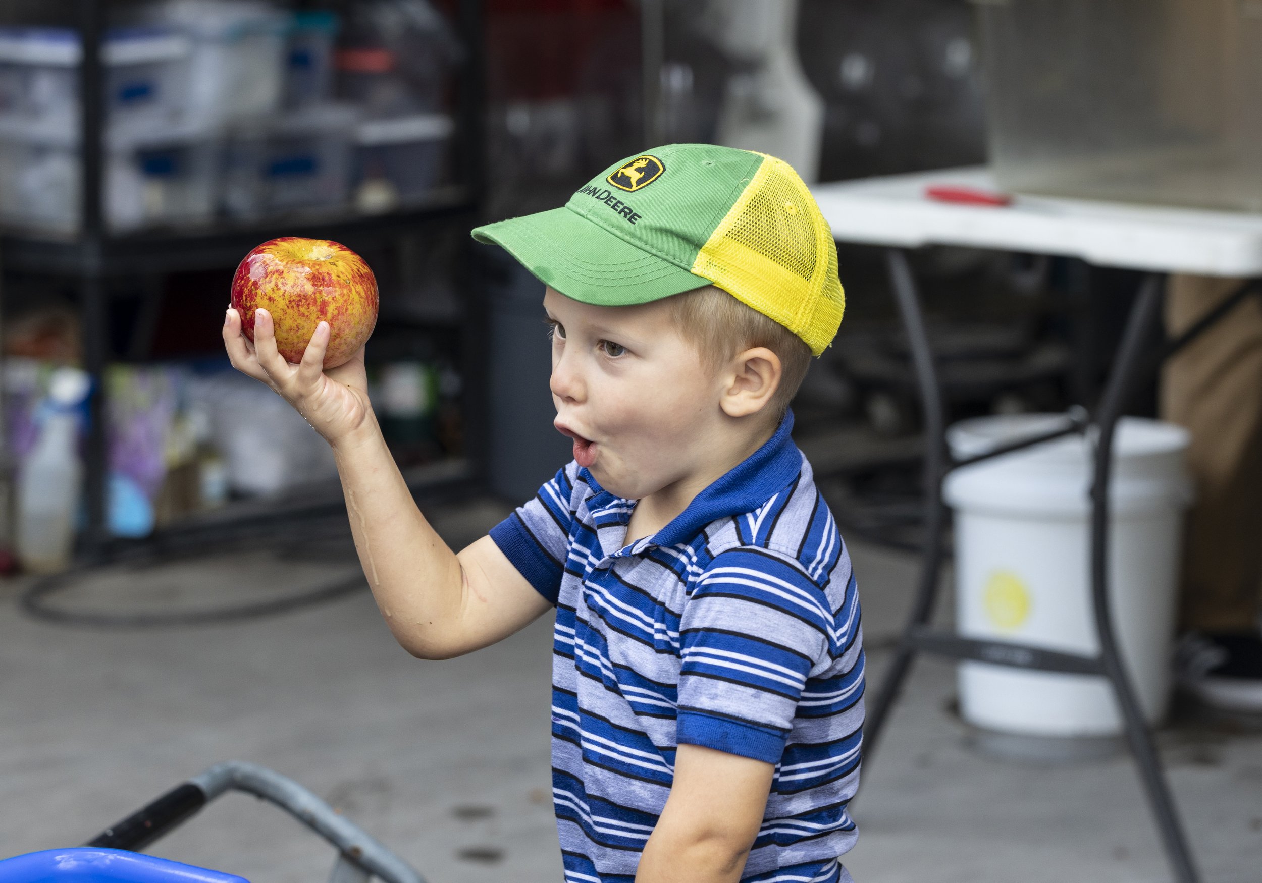 8th Annual Apple Fest in Cedar Grove [Saturday, Oct 3rd]