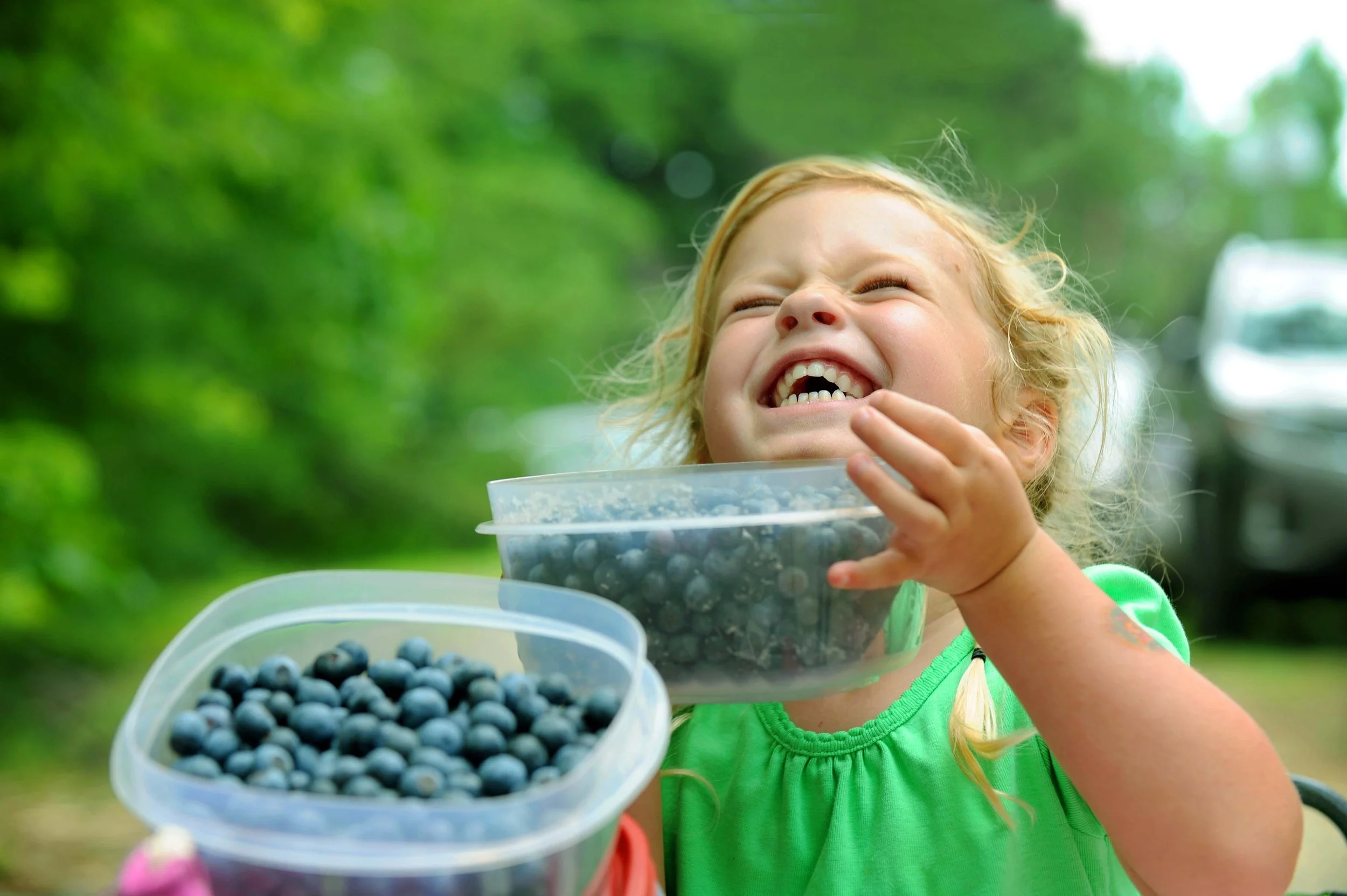 11th Annual BLUEBERRY FEST in Cedar Grove [July 18th]