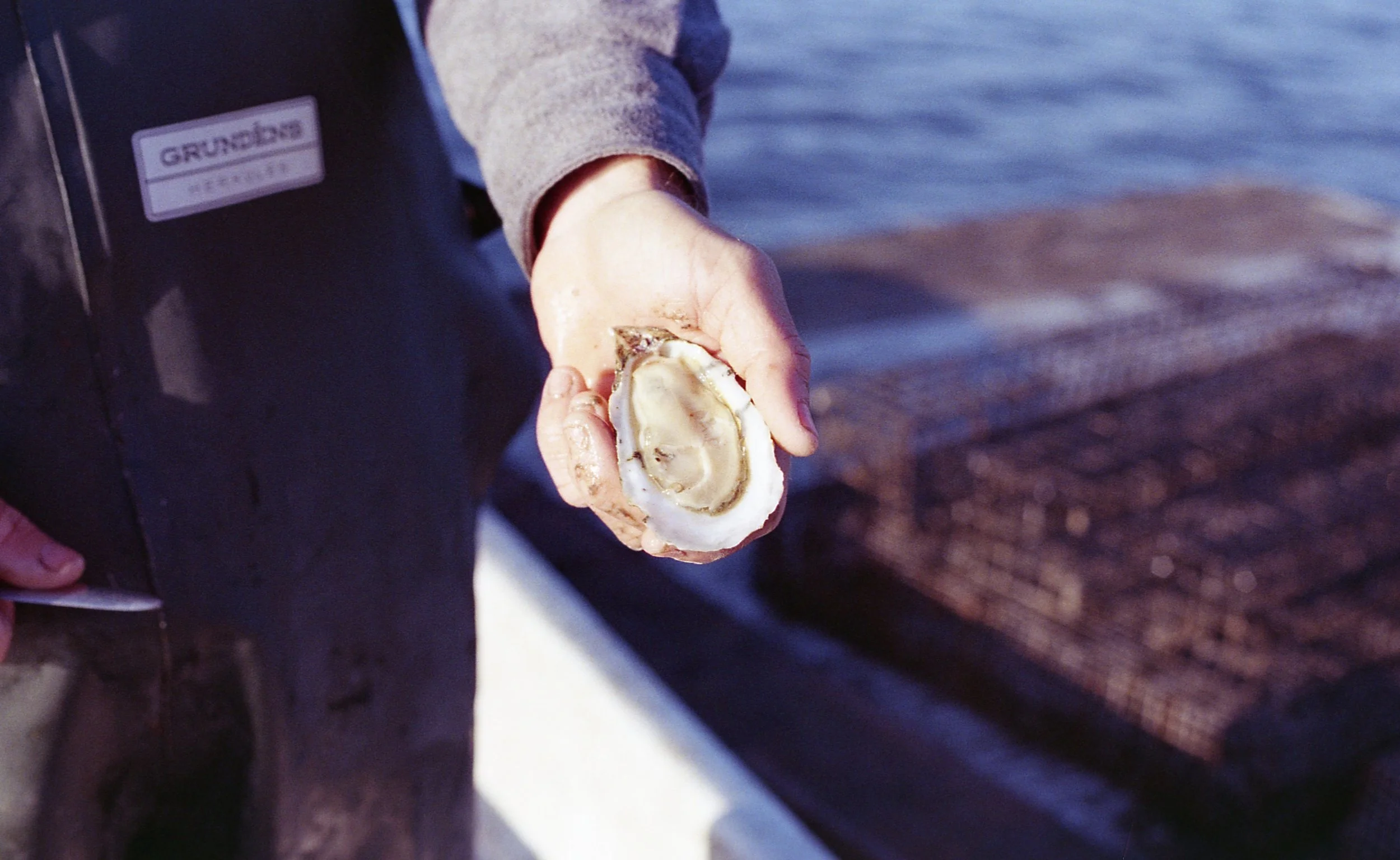 34569b10-bb20-425f-923c-3843c0b17498-1_all_9119 (1).jpg