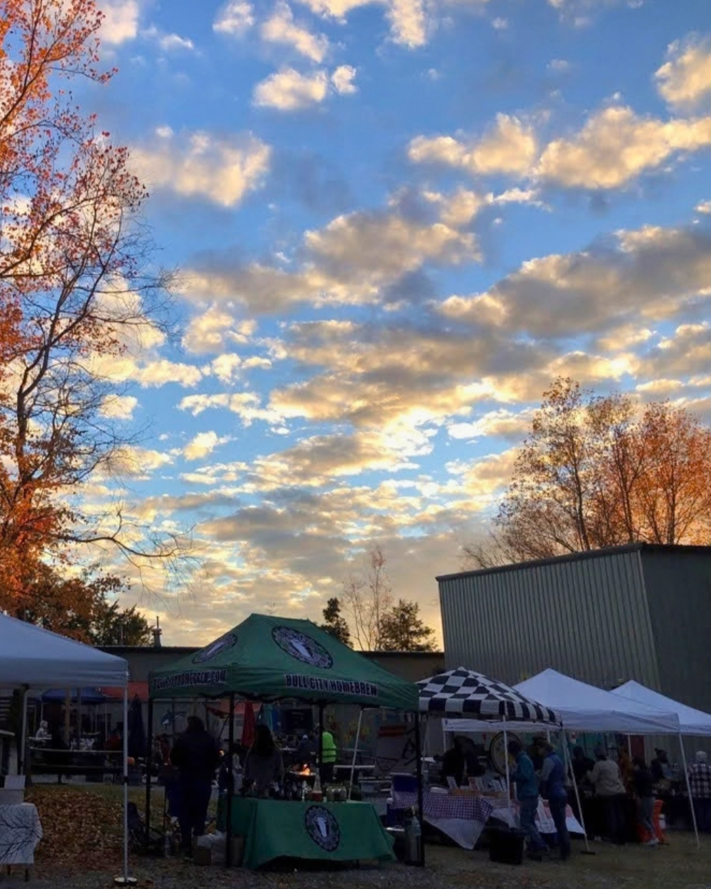 Shindig and Holiday Market in Cedar Grove [Saturday, November 14th]