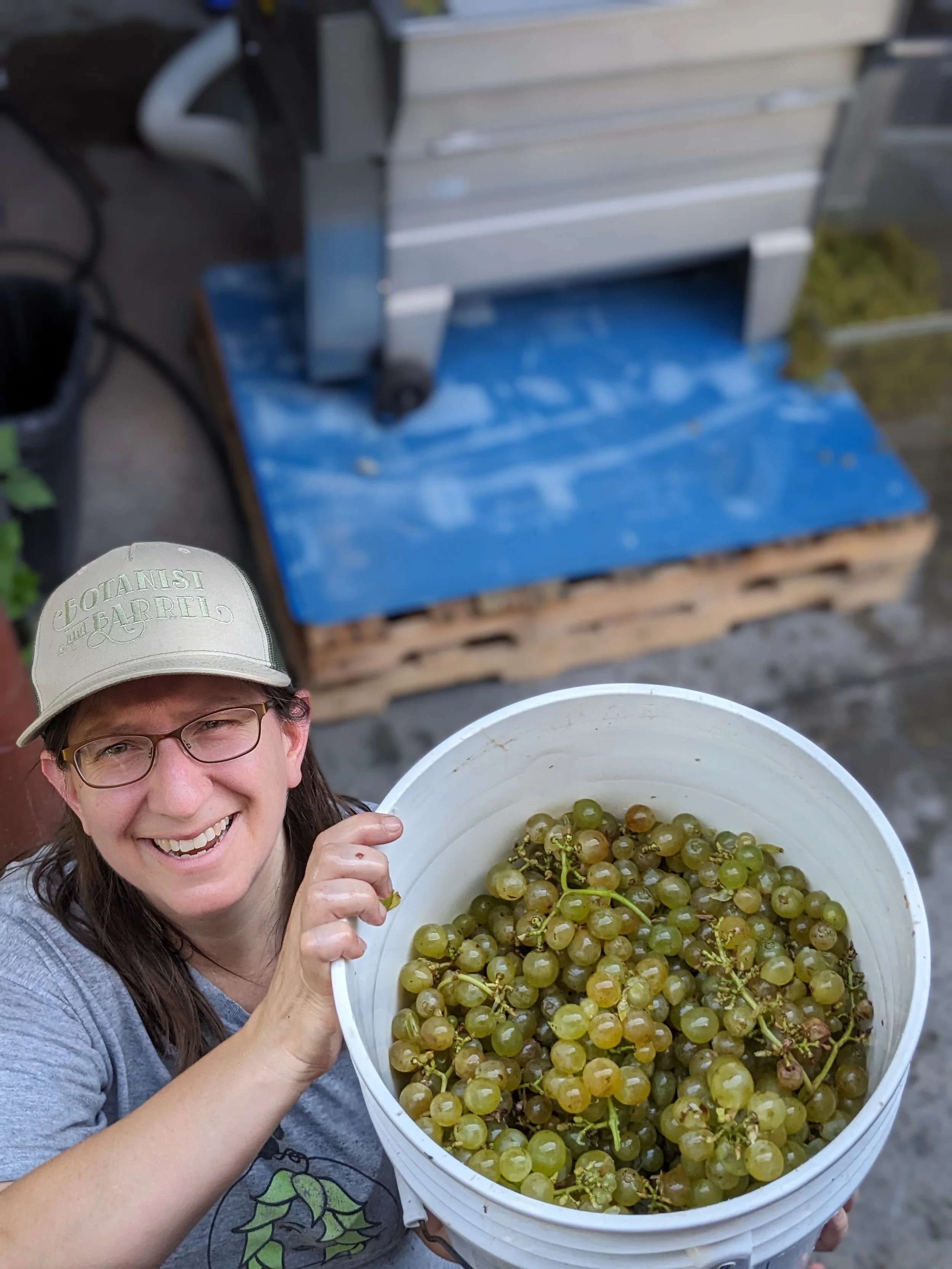 Kether showing off some Vidal Blanc