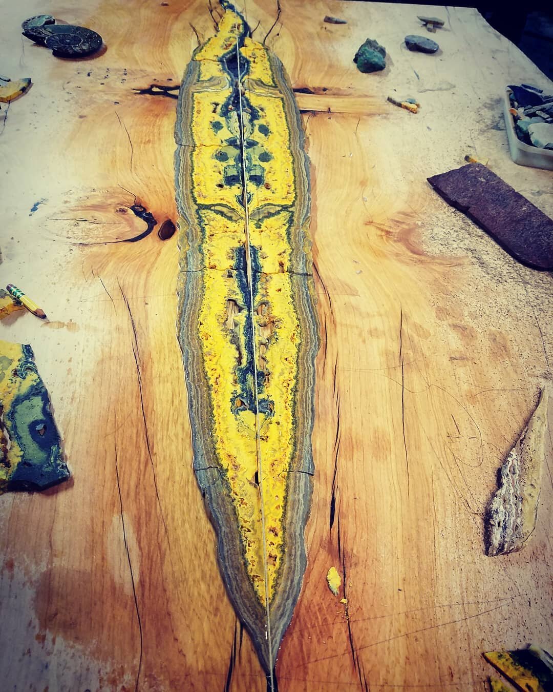 This is such a beautiful piece of Bumblebee Jasper! It reminds me of a snake skin. Can't wait to see it all polished up!

#bumblebeejasper #liveedge #aligatorjuniper #makersgonnamake #inlay #functionalart #decor #stonedecor