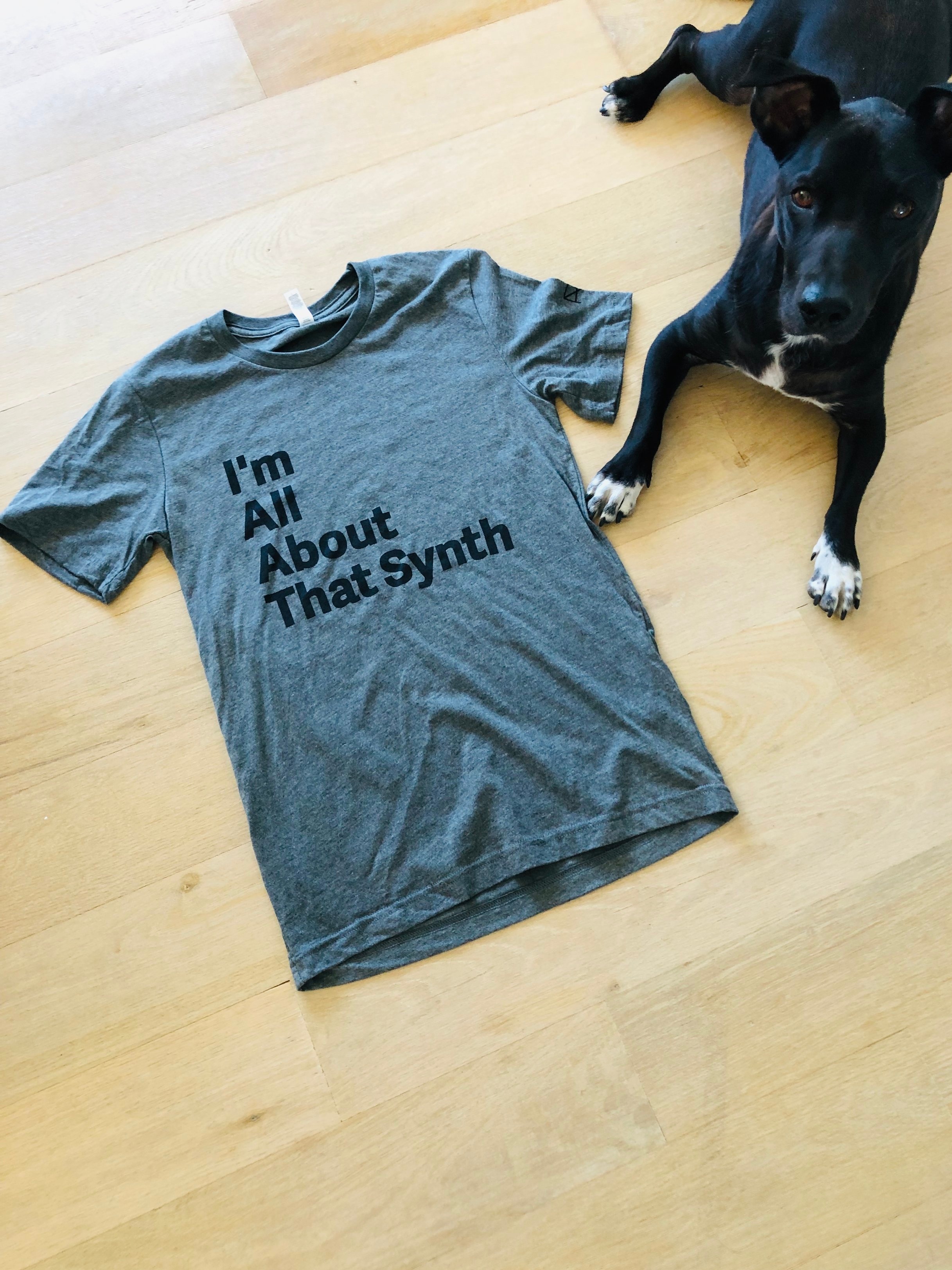 I'M ALL ABOUT THAT SYNTH TEE