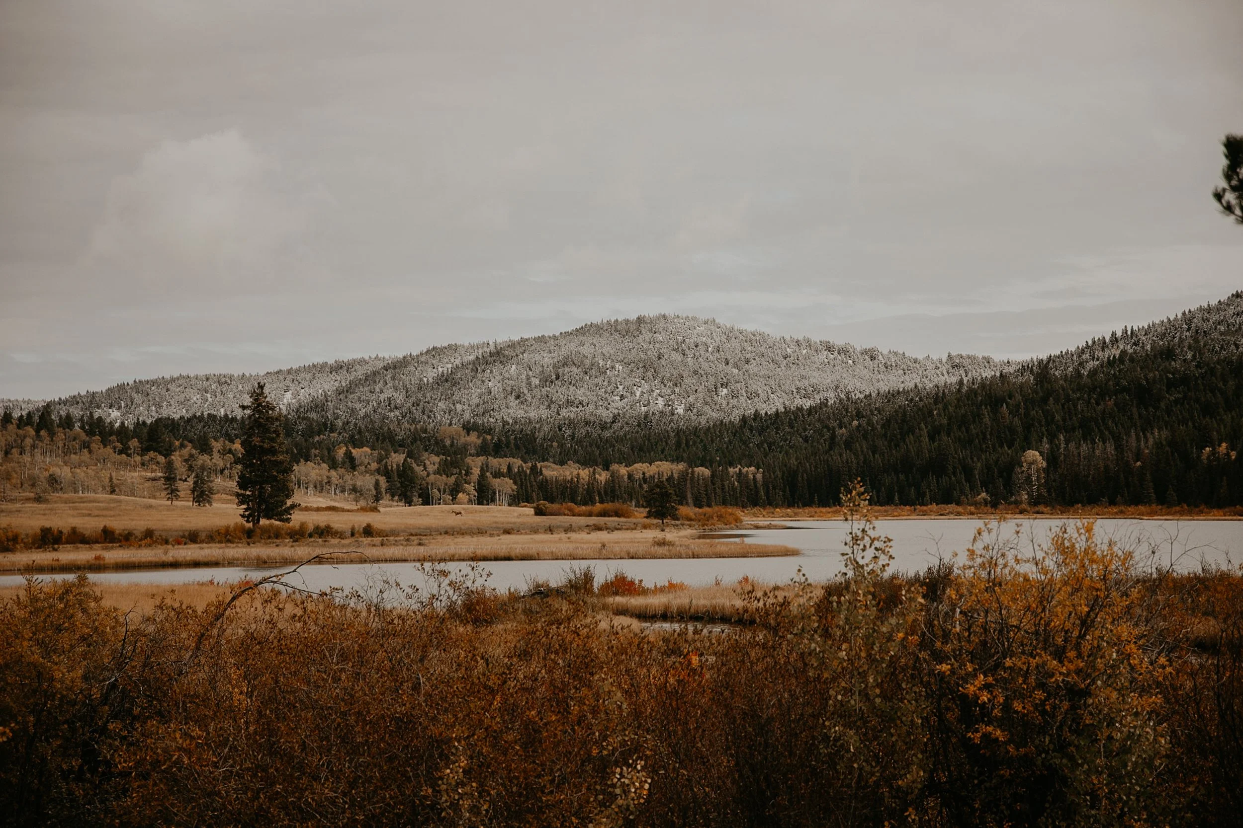 Kane Valley 2