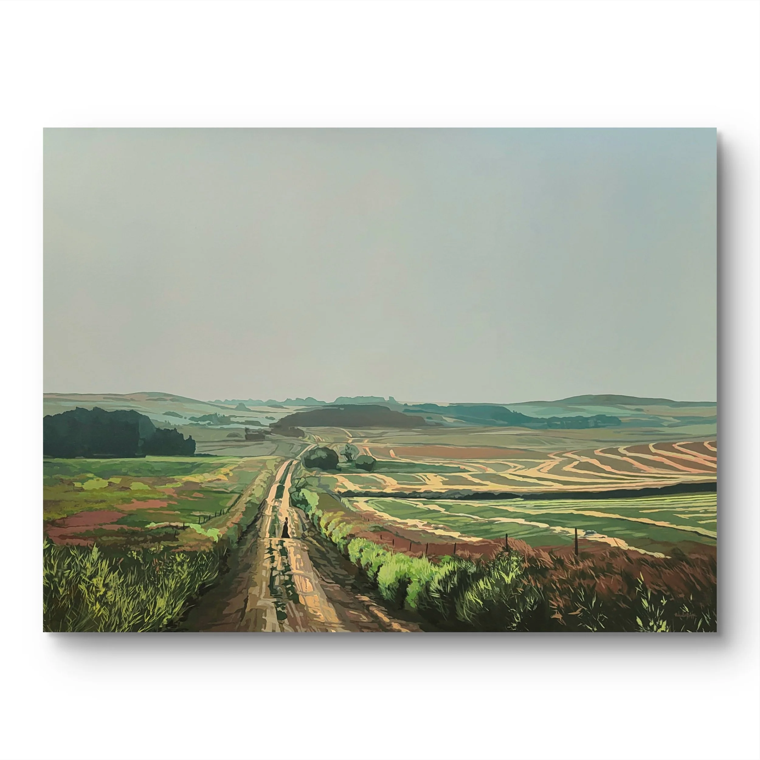 The Prairie Witness
  
36 inches high x 48 inches wide acrylic and marker on canvas wrapped on 1.5 deep stretcher bars.  $3350 +GST  On display at Gibson Fine Art, Calgary Alberta 